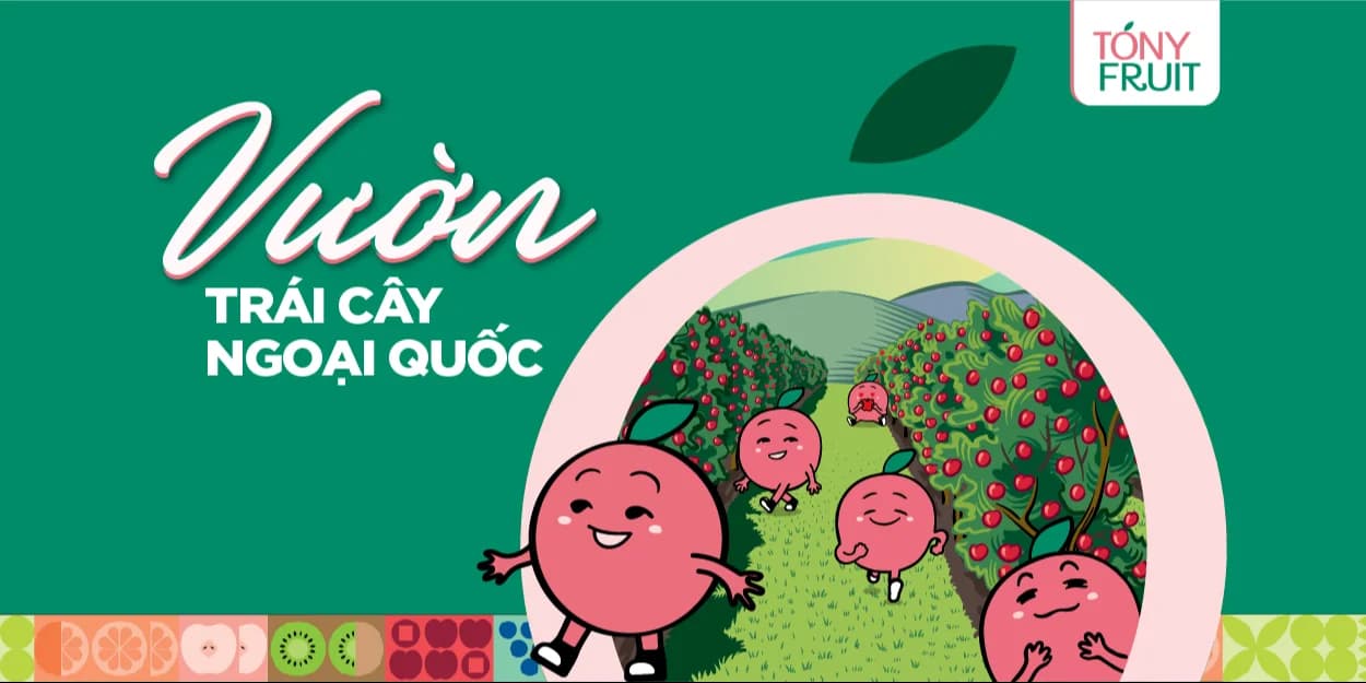 Vườn Trái Cây Ngoại Quốc — Tony Fruit